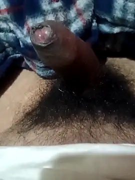 Snapshot of guavam65 chatting on February 2026 07:45:01 PM guavam65 online show from February 2026 07:45:01 PM