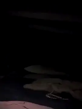 divinaerotica online show from December 2025 08:01:02 PM