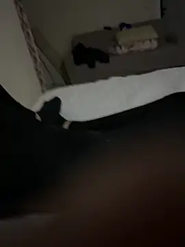 Snapshot of senle12ben2 chatting on February 2025 07:42:01 PM senle12ben2 online show from February 2025 07:42:01 PM