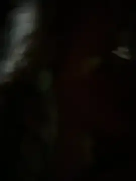 kcmo1010 online show from November 2025 06:29:02 AM