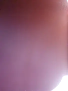 wadmma online show from February 2026 07:49:02 AM