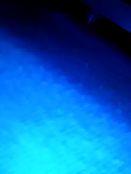 wadmma online show from March 2026 03:22:02 AM