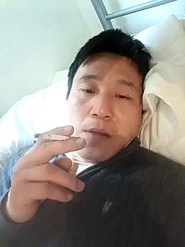 wadmma online show from March 2026 09:44:01 AM