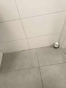 wadmma online show from April 2026 04:19:02 AM