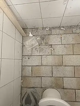 wadmma online show from November 2025 08:47:01 AM