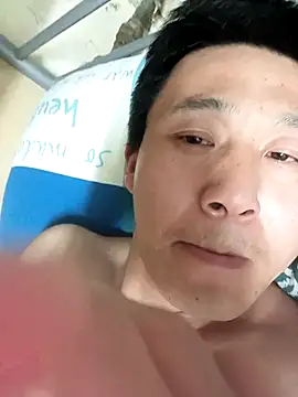 wadmma online show from April 2026 09:16:01 PM