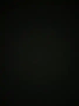 sansanlulu7 online show from April 2026 03:08:01 AM