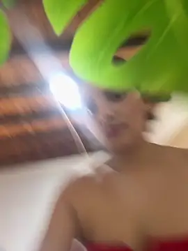 Hadley  online show from February 2026 03:06:02 AM