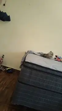 JapeDoBryan online show from May 2026 06:29:02 PM
