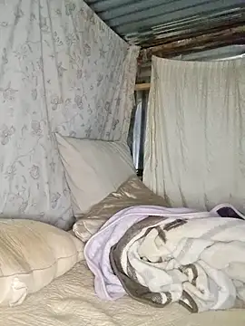 Velvet69 online show from November 2025 11:16:01 PM