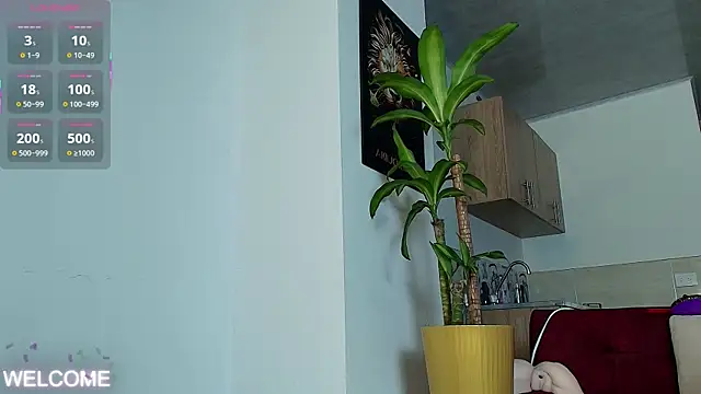 Dwayne Brown online show from April 2026 07:31:01 PM