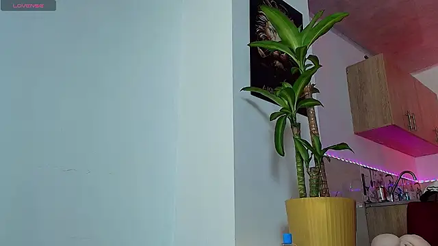 Dwayne Brown online show from March 2026 06:33:02 PM