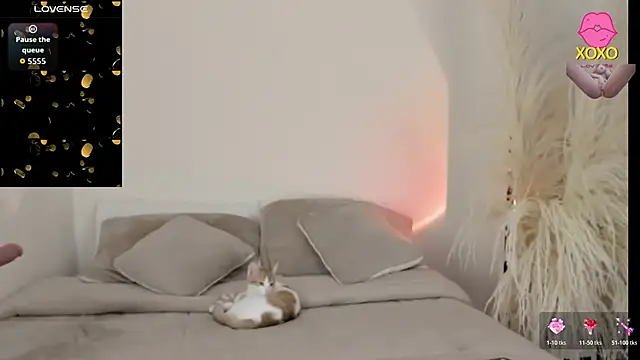 Sammy-Jhonson online show from March 2026 11:06:02 PM