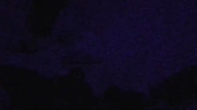 cruz815 online show from September 2025 11:04:01 AM