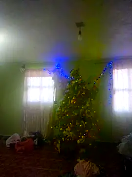 KellyPerlaxxx online show from December 2025 02:30:02 PM