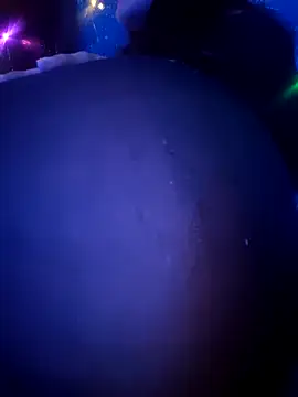 Dehtrans online show from April 2026 11:25:02 AM