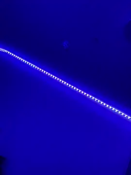 DaniJohnson online show from February 2025 03:19:01 PM