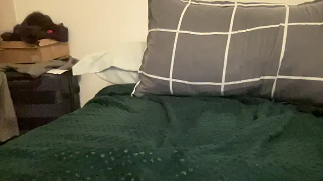 shineofcrazy online show from November 2025 12:31:01 AM