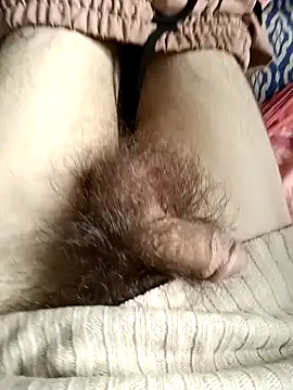 LustHaven-Sigma online show from February 2025 01:49:02 AM