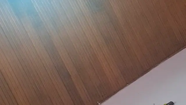 Snapshot of kyliebigboobs chatting on September 2025 02:01:01 PM kyliebigboobs online show from September 2025 02:01:01 PM