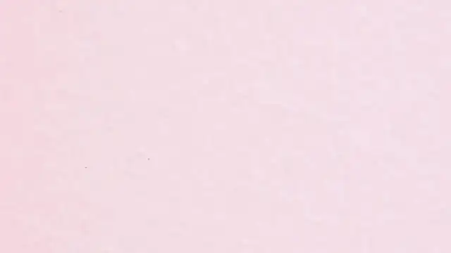 JhoanLeandro online show from April 2026 04:20:02 AM