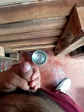 HotC1991 online show from January 2026 02:12:01 PM