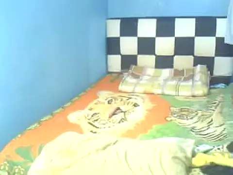 DivinaTransStrella online show from February 2025 08:13:01 PM