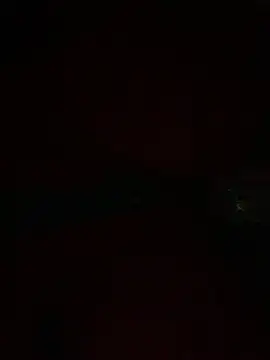 PINO pino 01 online show from November 2025 06:45:02 PM