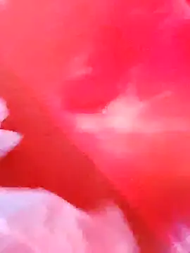 Snapshot of dominationmybigdick chatting on December 2025 09:53:01 AM dominationmybigdick online show from December 2025 09:53:01 AM