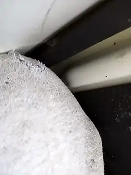 Snapshot of dominationmybigdick chatting on October 2025 10:38:01 AM dominationmybigdick online show from October 2025 10:38:01 AM