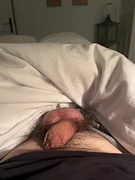 Avignon1963 online show from April 2026 07:17:01 PM