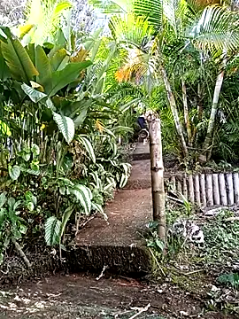 Dracoandr online show from December 2025 09:15:01 PM