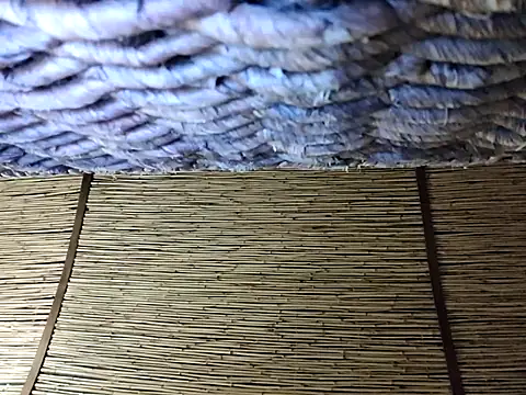 meandhim05 online show from March 2026 04:20:01 PM