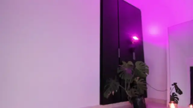 ggor4w33 online show from February 2026 02:57:02 AM