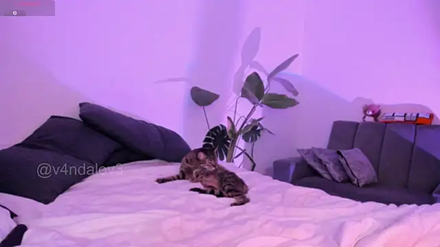 ggor4w33 online show from January 2026 06:53:02 AM