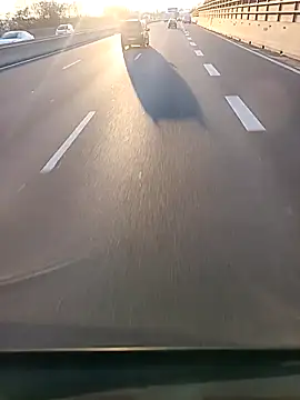 Dam70 online show from December 2025 02:49:02 PM