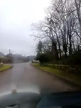 Dam70 online show from January 2026 08:54:01 AM