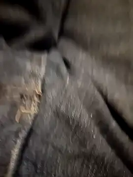 Dam70 online show from November 2025 07:30:01 PM