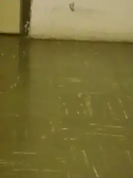 DahGiver online show from February 2025 10:47:02 PM