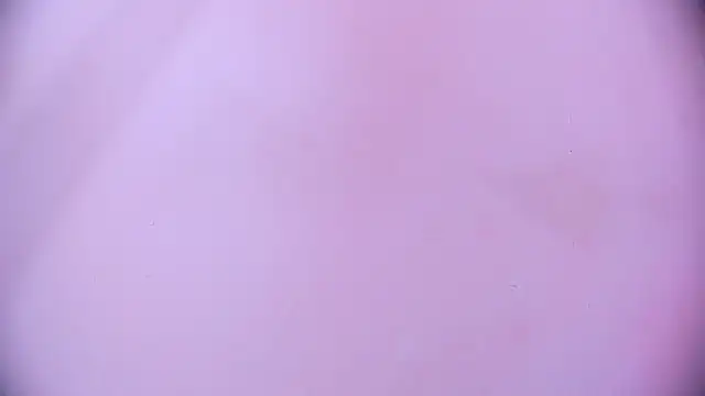 Ashlyaurora online show from March 2025 07:35:01 AM