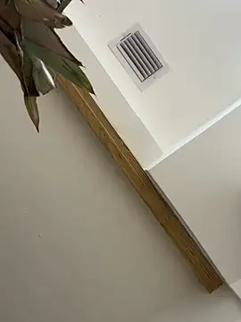 Snapshot of Bicho13132 chatting on October 2025 06:26:02 AM Bicho13132 online show from October 2025 06:26:02 AM