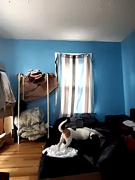 Snapshot of GsSpot69 chatting on October 2025 06:29:02 PM GsSpot69 online show from October 2025 06:29:02 PM