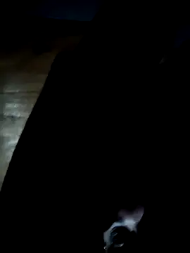 Snapshot of GsSpot69 chatting on October 2025 06:34:02 AM GsSpot69 online show from October 2025 06:34:02 AM