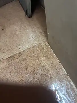 Snapshot of man16101 chatting on November 2025 12:19:01 PM man16101 online show from November 2025 12:19:01 PM