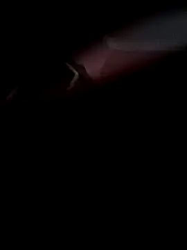 Snapshot of Arabian chatting on November 2025 10:08:01 AM Arabian online show from November 2025 10:08:01 AM