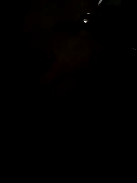 Arabian online show from December 2025 09:41:01 AM