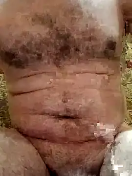 Arabian online show from November 2025 02:44:02 PM