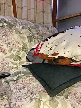 blondiebbc online show from April 2026 01:34:01 PM