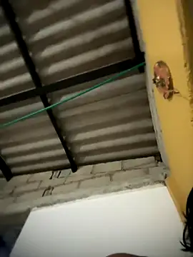 Snapshot of daniel6916 chatting on November 2025 01:43:01 AM daniel6916 online show from November 2025 01:43:01 AM