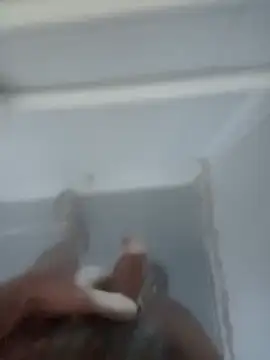 Snapshot of bigcockturk3 chatting on February 2025 07:13:01 PM bigcockturk3 online show from February 2025 07:13:01 PM